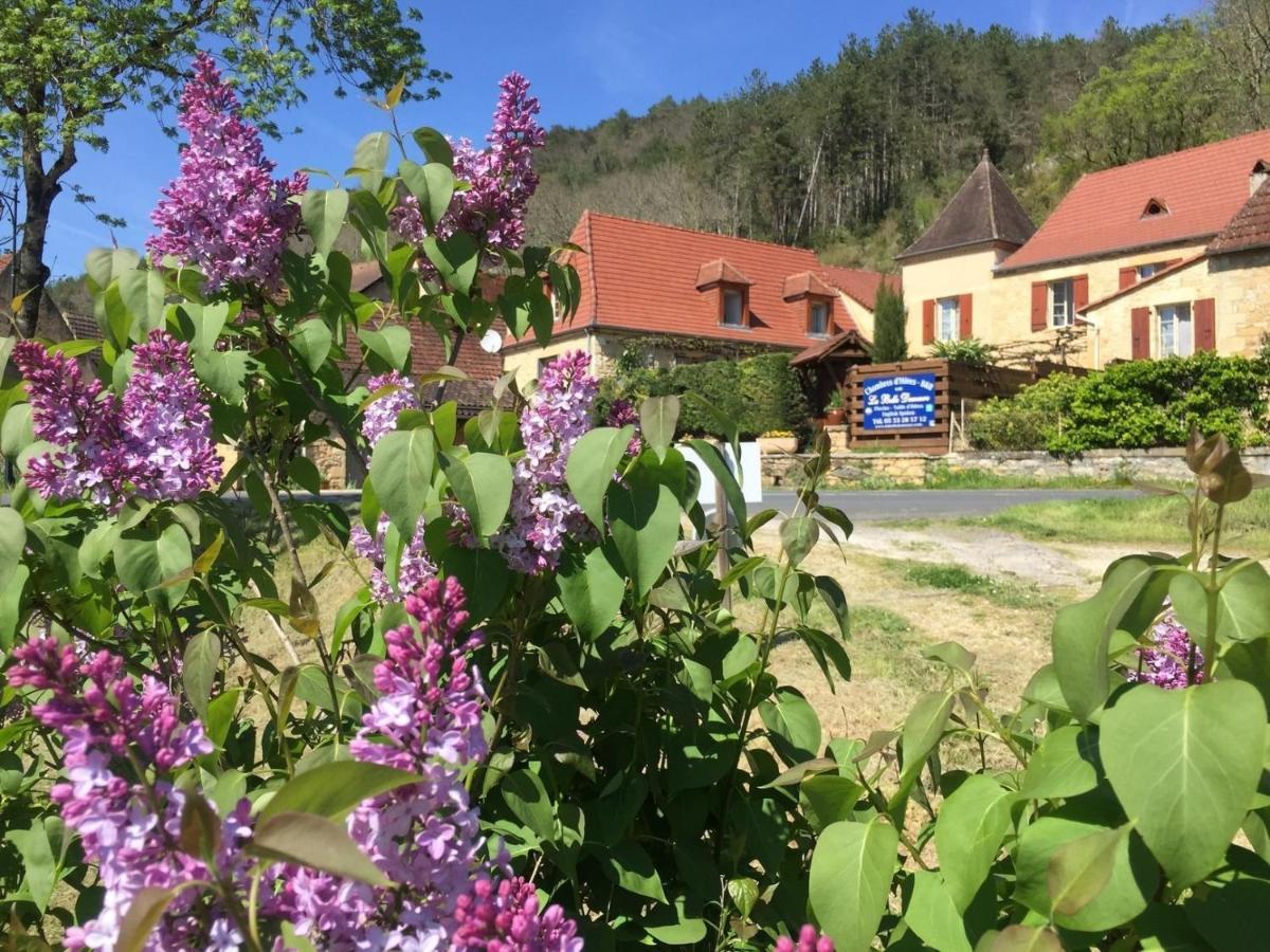 Bed and Breakfast La Belle Demeure à Saint-Cybranet Extérieur photo